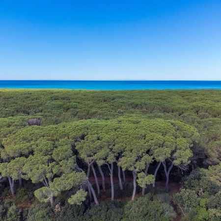 Holiday Home Cecina Mare-4 By Interhome 切齐纳的码头 外观 照片