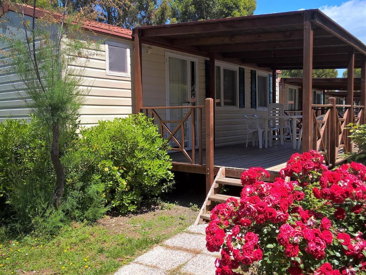 Holiday Home Cecina Mare-4 By Interhome 切齐纳的码头 外观 照片